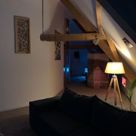 Nid De Cigogne Apartamento Illhaeusern Exterior foto