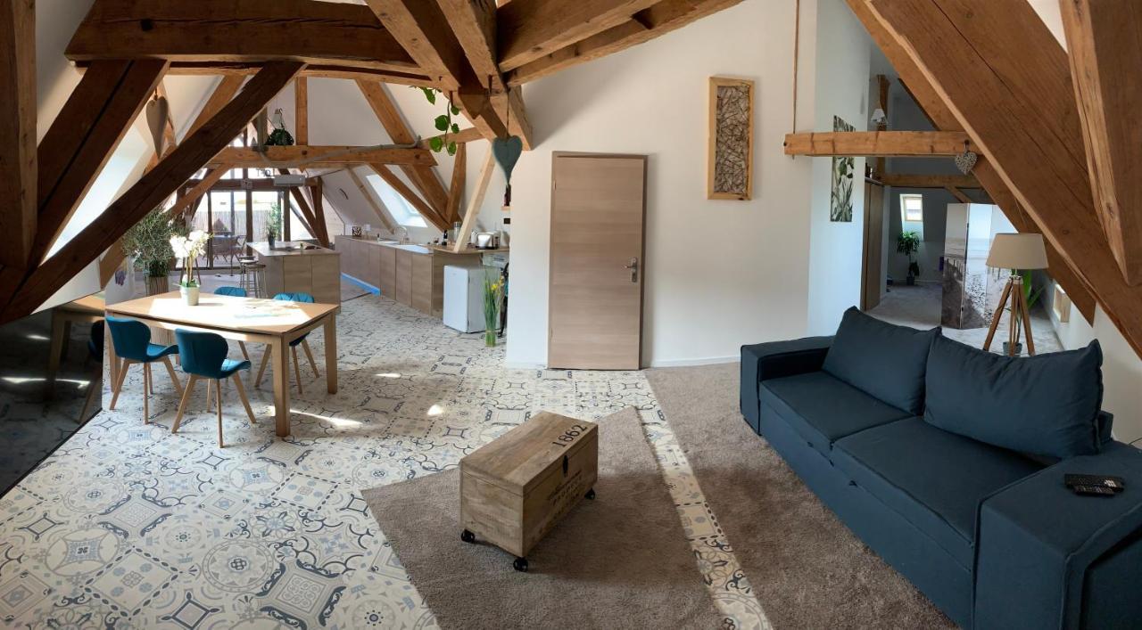 Nid De Cigogne Apartamento Illhaeusern Exterior foto